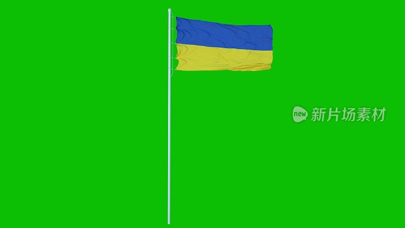在蓝色屏幕或色度键背景上飘扬的乌克兰国旗。三维渲染