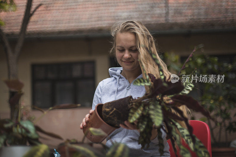 女孩移植植物