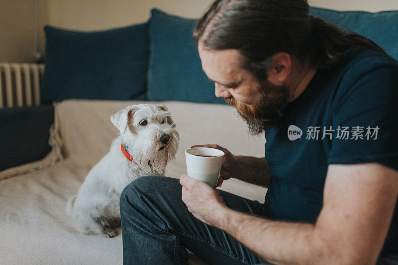 宠物主人正在照顾和玩他的狗