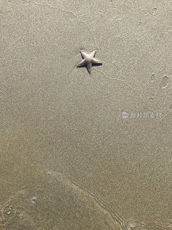 沙滩上的海星