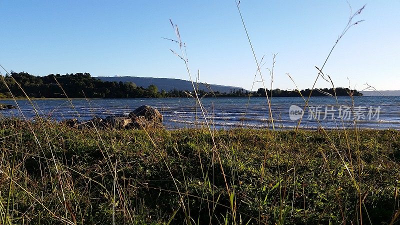 在智利拉各斯地区，一个以湖泊为背景的草地