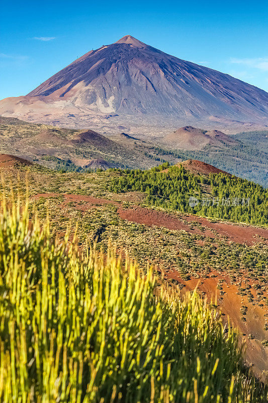 特内里费加那利群岛的泰德火山