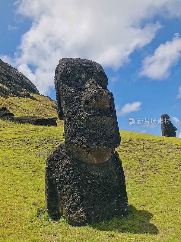 拉丁美洲智利拉帕努伊岛复活节岛上的摩埃石像