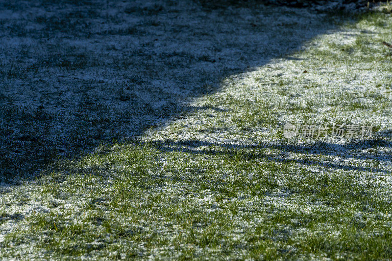 小雪飘落在草地上