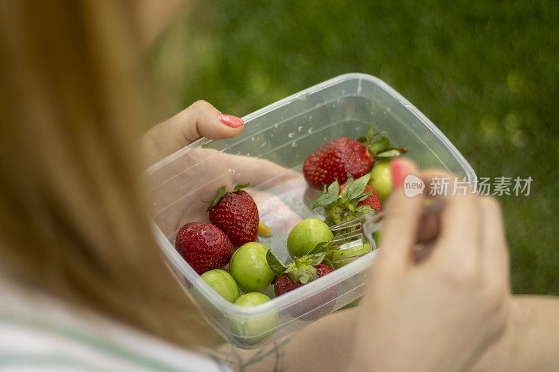 用塑料容器运送有机水果