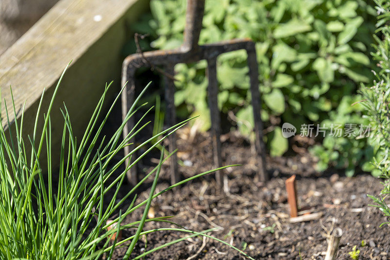 菜叉插在长满草本植物的苗圃里