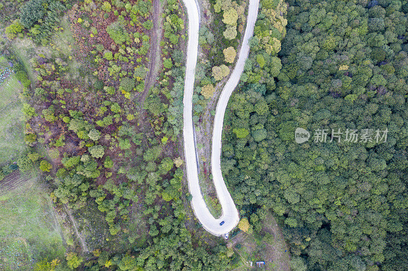 蜿蜒的道路。穿过森林的田园诗般的蜿蜒道路