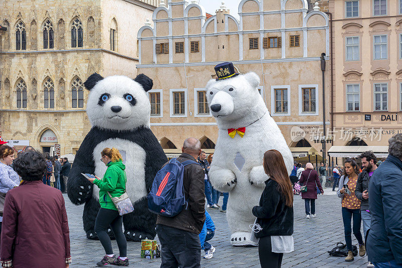捷克布拉格老城广场上的熊猫和北极熊