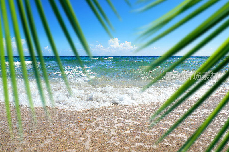 热带空海滩与蓝绿色的海景在阳光明媚的蓝天