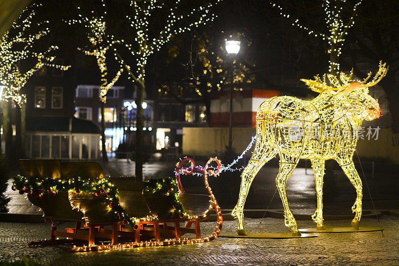 圣诞夜驼鹿装饰在城市