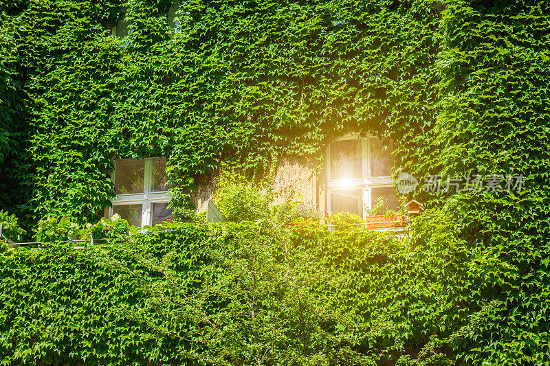 垂直花园，绿色建筑