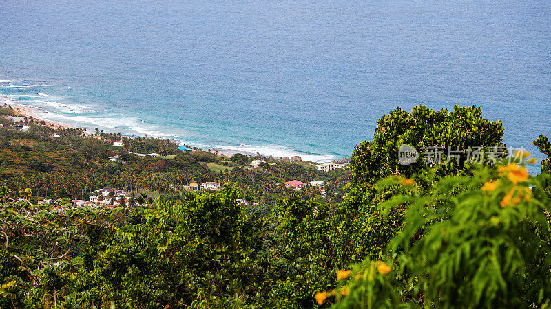 加勒比海风景——巴巴多斯的芭丝谢芭