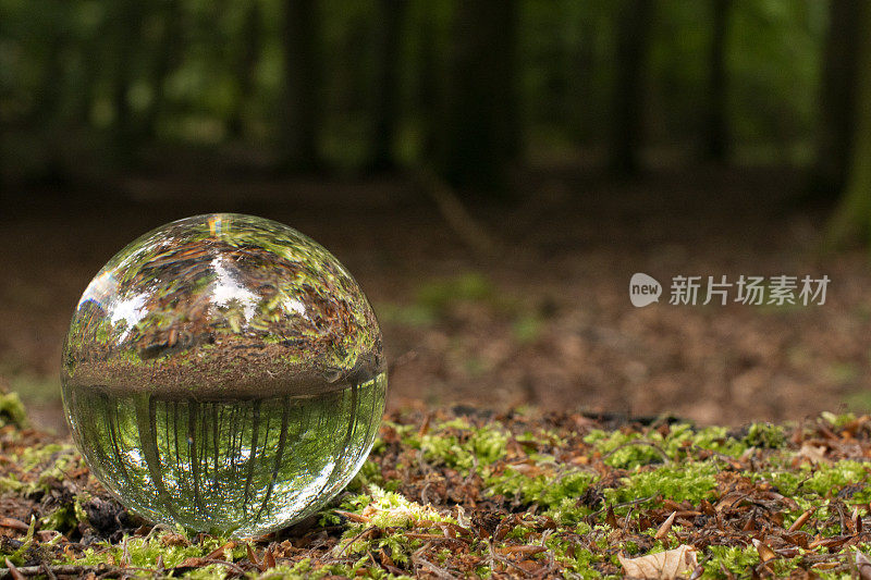 森林里的水晶球，里面是大自然。表现出内在和外在的自然，记得爱护自然。准备演示材料。