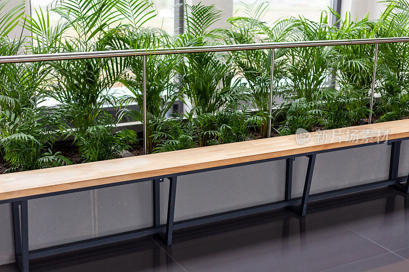 绿色植物和一个空空荡荡的公司办公室等候室木凳，走廊座位特写，没有人。当代绿色生态现代商业建筑室内细节背景，无人问清