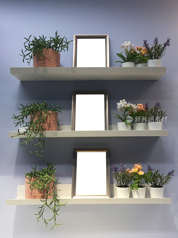 架上的相框和室内植物(有修剪路径的相框)