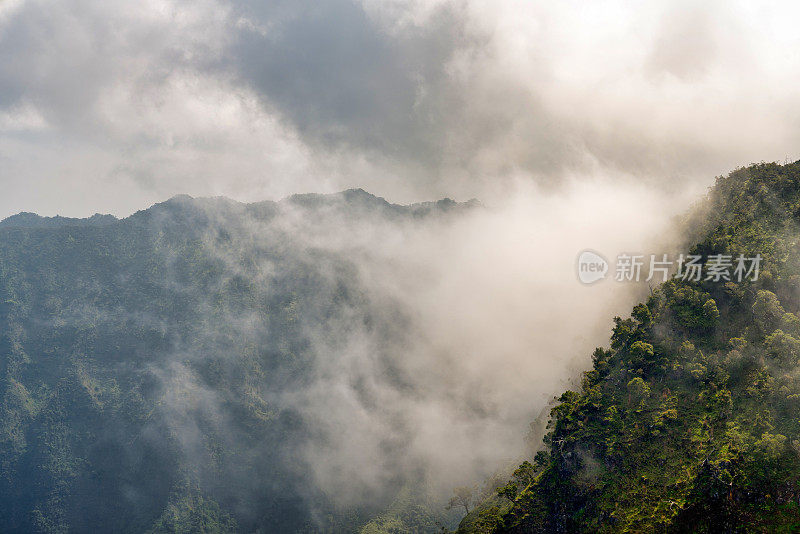 雾沿考艾岛，夏威夷海岸线