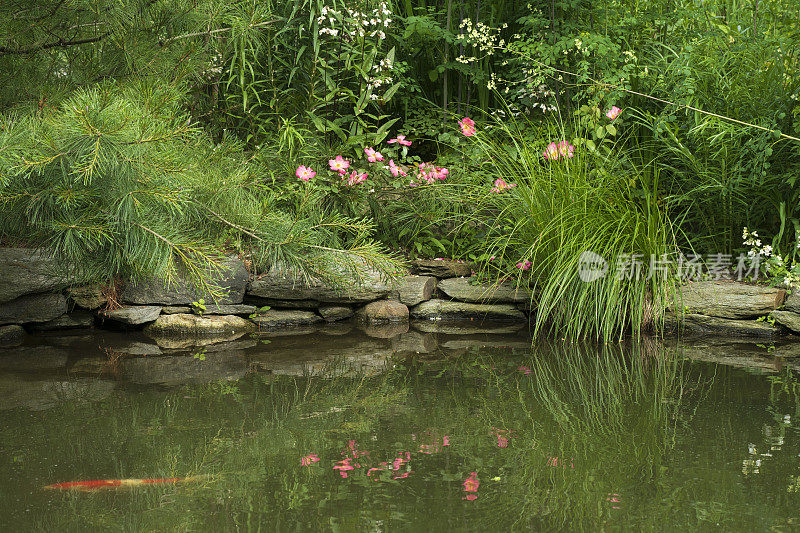 夏天的水上花园