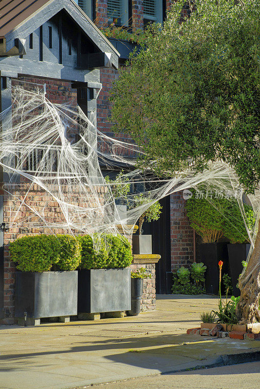 10月闹市的万圣节，房子或房子外面的蜘蛛网和前院的树和装饰