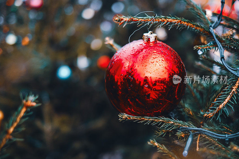 特写上闪亮的红色小玩意在圣诞树上的树枝与串灯