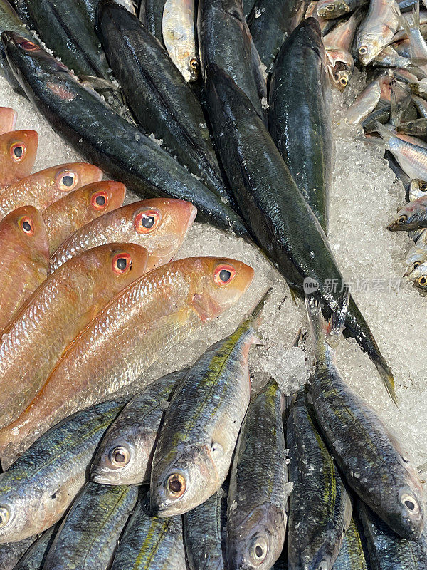 鲜食的红鲷鱼，鲭鱼，鲱鱼和沙丁鱼，红色和银色的鱼在碎冰上展示在鱼市鱼贩展示的特写图像，高处视图