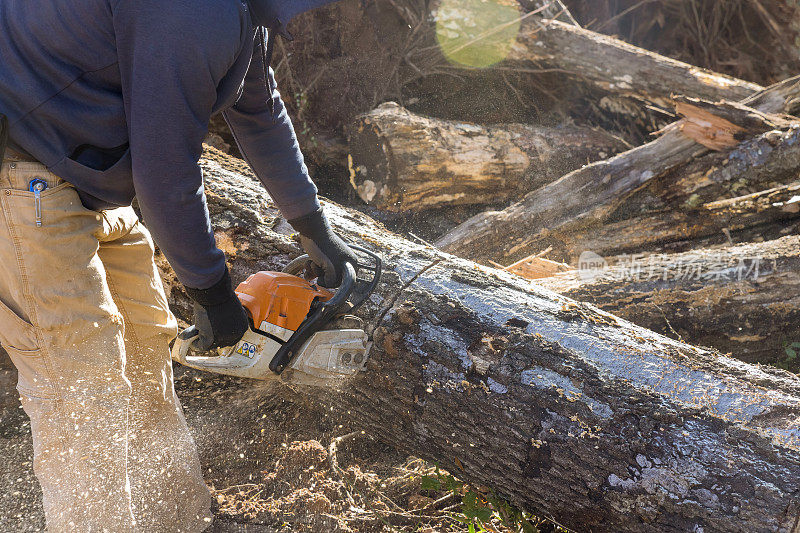 这名服务人员正在使用电锯砍伐树木，导致森林破坏和生态灾难。