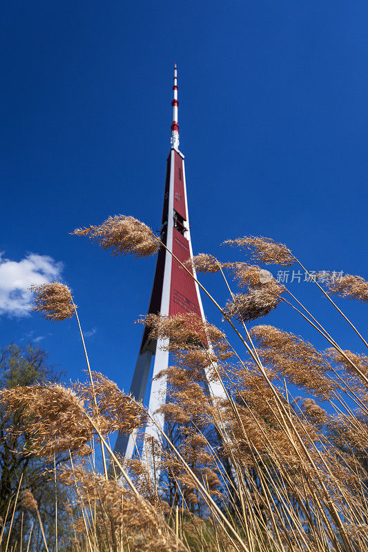拉脱维亚里加扎库萨拉岛的广播电视塔