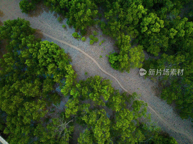 湄公河三角洲沿岸冲积红树林，上庄省