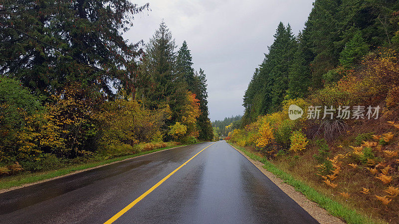 秋天令人惊叹的乡村公路
