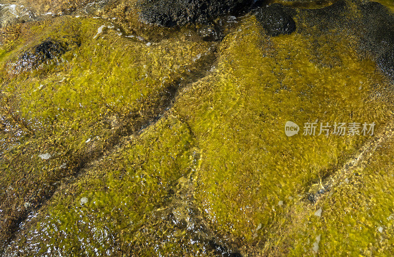 岩石海滩上的浅水