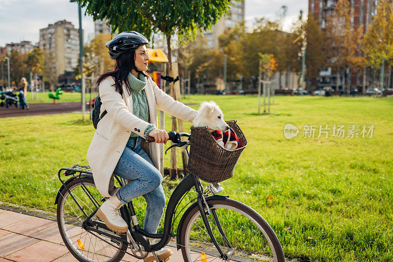 这只狗喜欢和它的主人一起在公园里骑车，坐在自行车篮里环顾四周