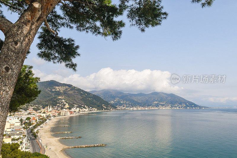 意大利利古里亚萨沃纳，意大利里维埃拉Ponente海岸的高架景观，海边城镇Laigueglia和Alassio，前景中有一棵海上松树