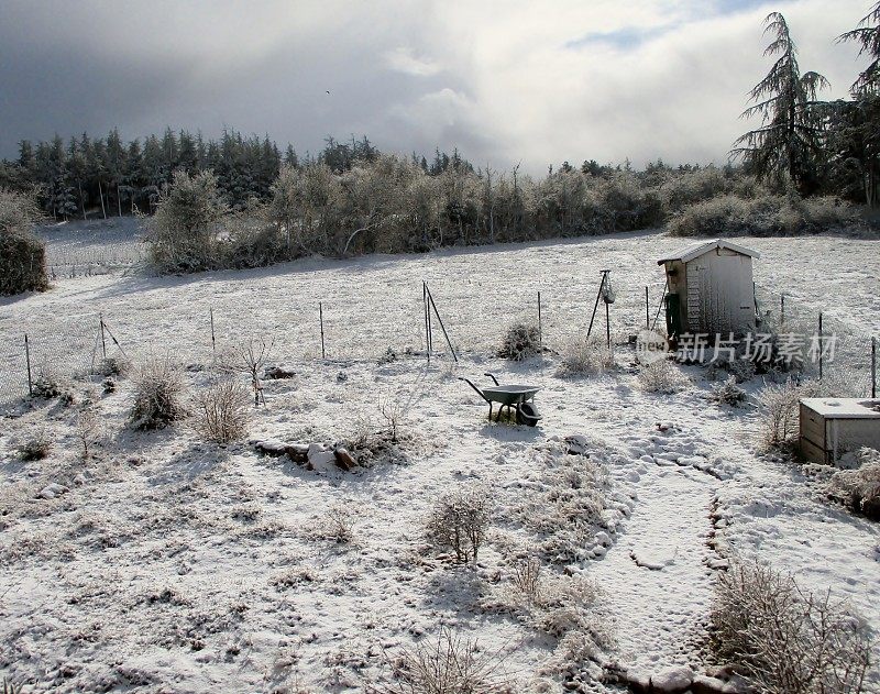 花园里下着小雪