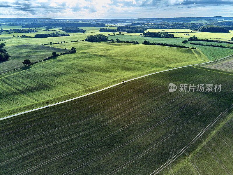 农田上空的鸟瞰图