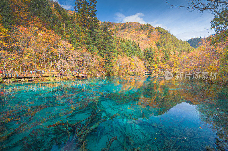 九寨沟自然保护区(九寨沟国家公园)，中国。美丽的风景，清澈的水和秋天的森林。