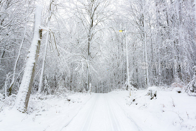 冬季滑雪路