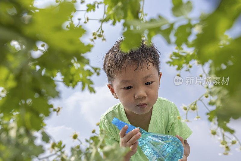 亚洲男孩浇花