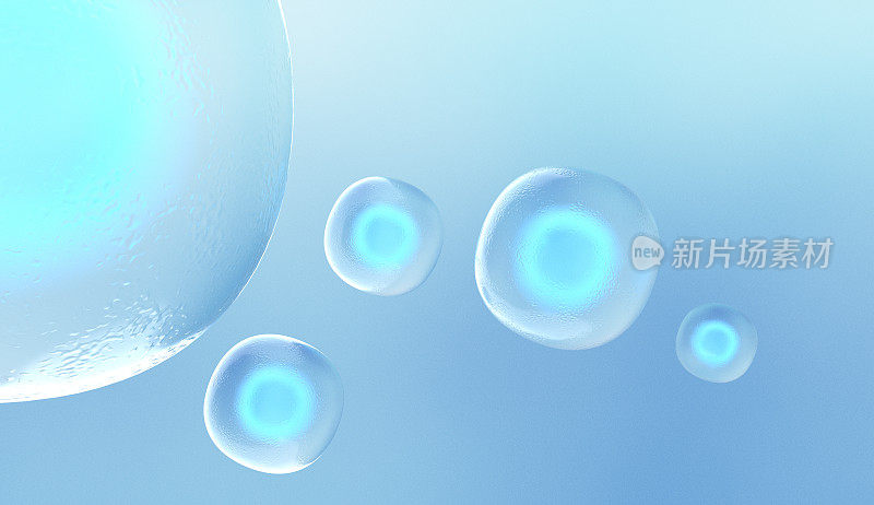 蓝色的干细胞