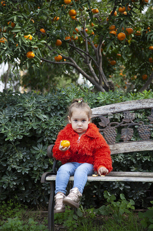 坐着一个小女孩从树上摘橘子