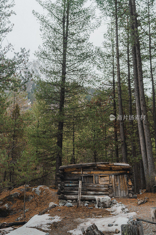 南迦帕尔巴特营地松树林中小木屋的风景