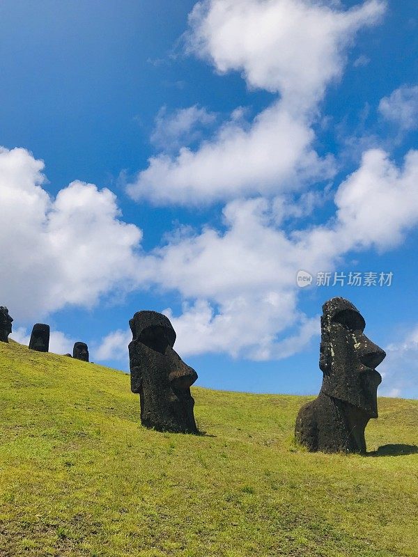 拉丁美洲智利拉帕努伊岛复活节岛上的摩埃石像