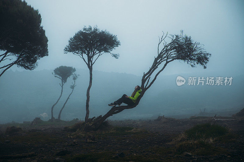 在乞力马扎罗山地区，一个女人的剪影坐在树上