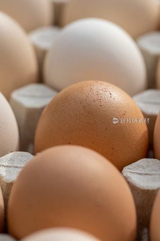 硬纸板托盘里的一排鸡蛋