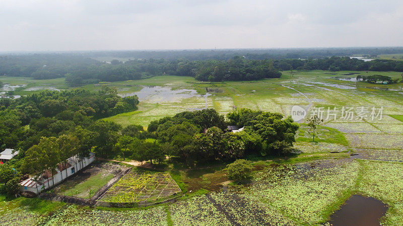 孟加拉国纳拉扬甘杰的一个绿色小村庄在雨季被洪水淹没。似乎是岛