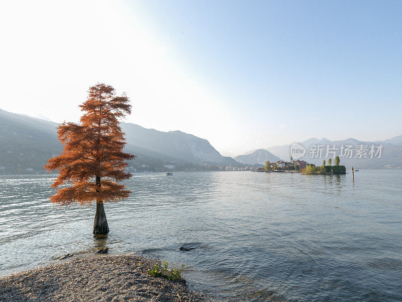 伊索拉贝拉的马焦雷湖风景