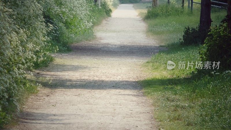 英国沃里克郡埃文河畔斯特拉特福的绿道自行车道和人行道