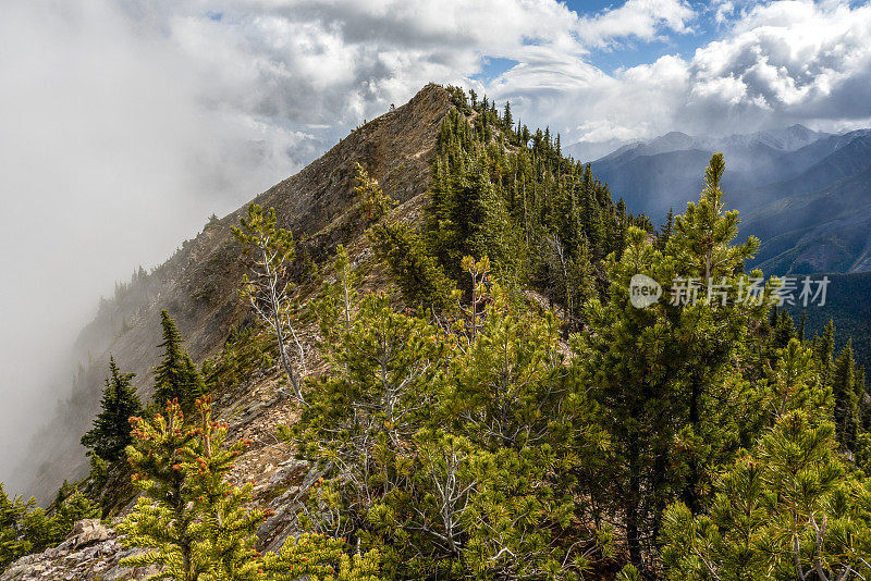 山地车骑手下降的山脊