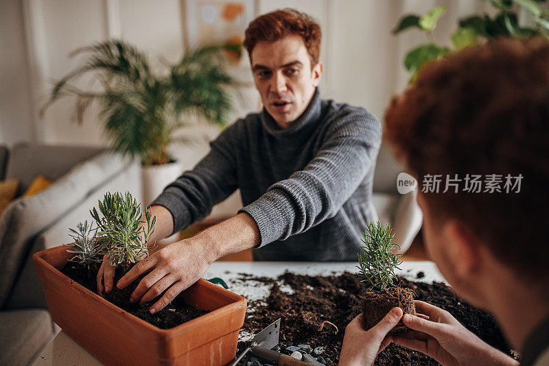 姜二兄弟一起在家里种室内植物