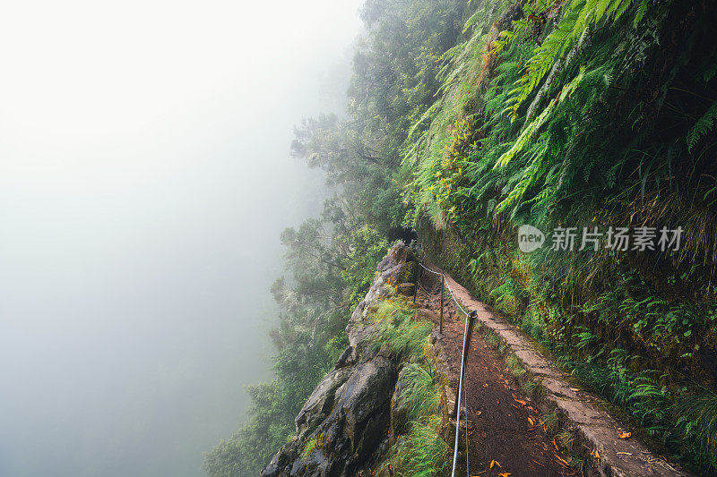 在马德拉岛徒步旅行