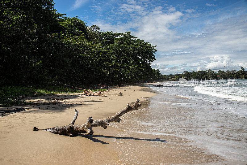 哥斯达黎加美丽的海滩和雨林