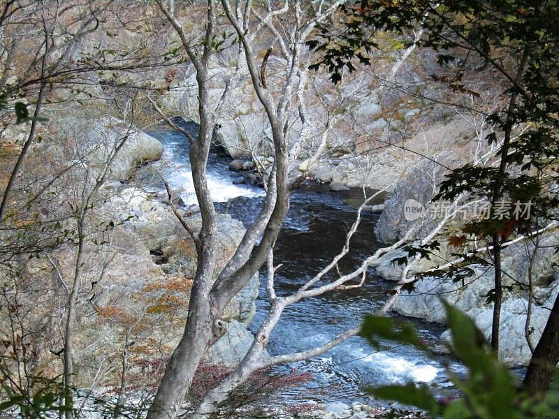 日本。11月。枥木县的山间河流非常湍急。